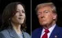 Трамп набросился с обвинениями на Харрис из-за якобы подкупа звезд на выборах