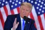 Виноваты ветровые электростанции: Трамп сделал неожиданное заявление о том, почему киты начали чаще гибнуть