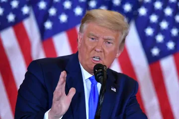 Виноваты ветровые электростанции: Трамп сделал неожиданное заявление о том, почему киты начали чаще гибнуть