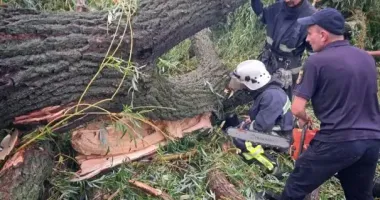 В Одесской области дерево упало на палатку с детьми: погиб парень, пострадали 4 подростка