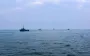 У ВМС відзвітували, скільки знищили "Шахедів" за ніч