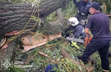 Непогода в Одесской области: дерево упало на палатку с детьми, погиб парень