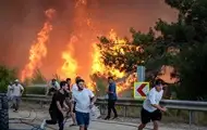 У Туреччині вирують масштабні лісові пожежі: загинули 17 людей