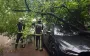 Непогода накрыла Черновицкую область: десятки тысяч людей без света, повреждены авто и школы