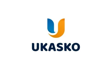 Украинские insurtech-решения порой превосходят европейские. В UKASKO рассказали детали