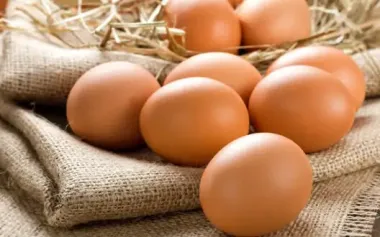 "Golden eggs" of Ministry of Defense: owners of supplier companies sentenced to arrest in absentia
