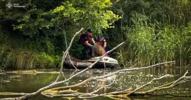 Под Борисполем нашли тело человека