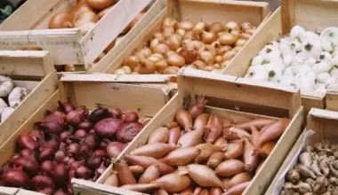 Как сохранить лук на зиму вплоть до весны: неожиданный лайфгак