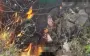 Two drones chase occupier to death in forest belt. VIDEO 18+