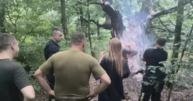 В Киеве на Лысой горе уничтожили 400-летнего гигантский дуб, росшего еще в казацкие времена