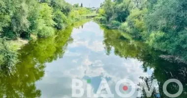 На Криворіжжі через спеку пересох ставок - у регіоні загострюється водна криза