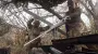 Новопавлівський напрямок: росіяни дійшли до околиць Олександрограда — оглядач