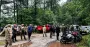 Зник у лісі: на Рівненщині четвертий день шукають пенсіонера