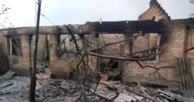 Масована атака на Дніпропетровщину: постраждали 2 людини, загинула худоба