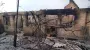 Russians hit Dnipropetrovsk Oblast with drones: livestock killed, two people injured – photos