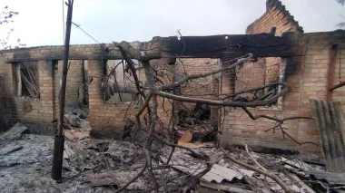 Russians hit Dnipropetrovsk Oblast with drones: livestock killed, two people injured – photos