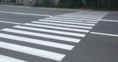 У Рівному на смерть збили жінку з собакою: водію обрали запобіжний захід
