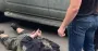 За $6-15 тысяч: в Киеве и Днепре ликвидировали схемы уклонения от службы