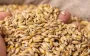 Kremlin seizes grain business in Russia through debts and repressions, - FIS