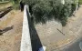 Man dies while fleeing from military personnel of TCR and police in Mykolaiv: SBI is investigating circumstances. PHOTO