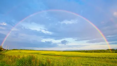 Дожди отступают из Украины – прогноз на два дня