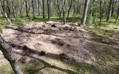 Poland has not yet clarified the circumstances of the Russian missile crash near Bydgoszcz