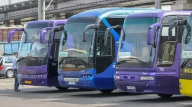 Билеты на автобусы за границу в Украине будут продавать по-новому: что изменится