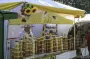Медовий Спас-2025: привітання в прозі, які зігріють серце у свято солодкої надії і духовного очищення