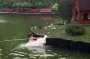 В Харькове девушка разделась и прыгнула в озеро ради лебедя: видео