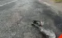 На Дніпропетровщині водій збив ветерана із протезом і втік