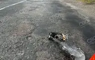 На Дніпропетровщині водій збив ветерана із протезом і втік