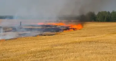 Экологический ущерб Сумщины в результате достигли более 15 млрд грн