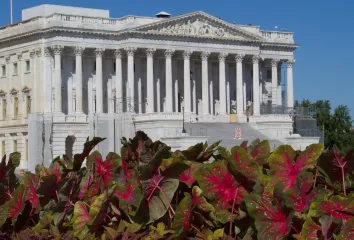 The Senate opposed Trump and voted for large-scale aid for Ukraine
