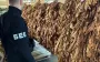 Unknown company imported almost 1,000 tons of tobacco into Ukraine, but did not order single excise stamp - journalist
