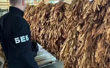 Unknown company imported almost 1,000 tons of tobacco into Ukraine, but did not order single excise stamp - journalist