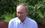Putin to Trump: All disappointments in negotiations stem from excessive expectations