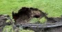 В центре Харькова под сквером обнаружили старинные катакомбы