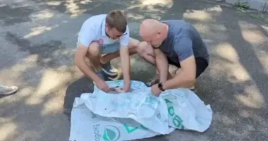Під Харковом рятують пораненого лелеку: за життя птаха борються орнітологи