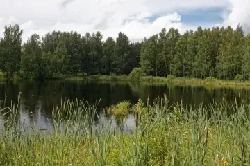 Жара постепенно отступает — прогноз на 3 августа