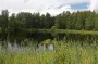 Жара постепенно отступает — прогноз на 3 августа