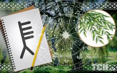 Кельтський гороскоп дерев на 2 серпня 2025 року: Левам — ясність, Рибам — гармонія