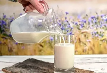 Топ молочних продуктів, які не шкодять фігурі