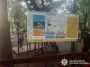 У Києві на канатній дорозі в парку Перемога травмувались діти - подробиці (фото)