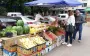 "Борщевой набор" под угрозой? Что может быть с урожаем картофеля и овощей в этом сезоне
