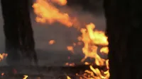 Watch: Panic is growing in Russia over a new large-scale "bavovna"