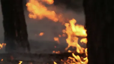 Watch: Panic is growing in Russia over a new large-scale "bavovna"