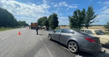 Смертельна ДТП на Вінниччині: водійка та пасажирка загинули на місці