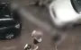 Police detain man who beat and shot at AFU war veteran in Kharkiv. PHOTO