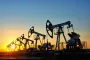 Вместо российской: Индия в срочном порядке закупила нефть в США, — Reuters