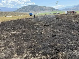 В Канаде рыба, упавшая с неба, обесточила село и вызвала пожар (фото)